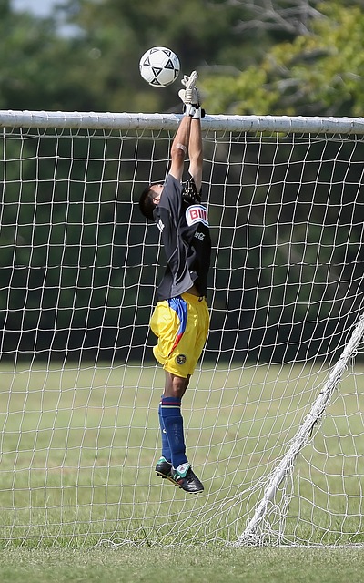 应有的全面 应有的全面