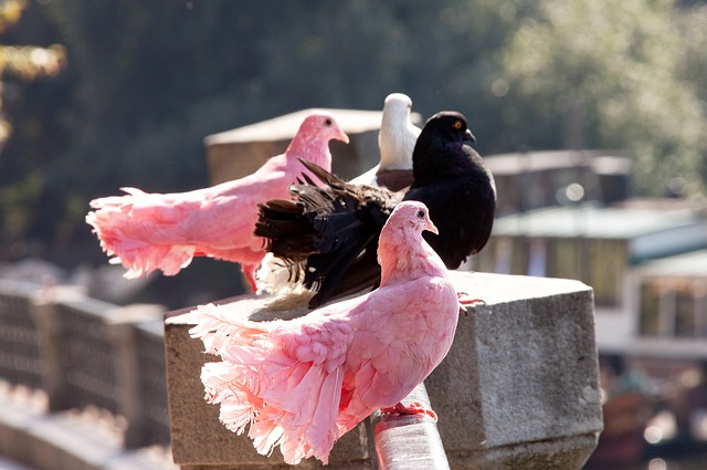 上还是场下 上还是场下