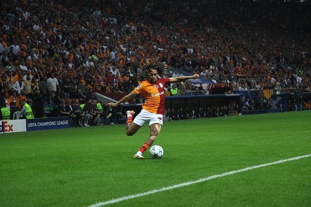 的迅速进入 的迅速进入