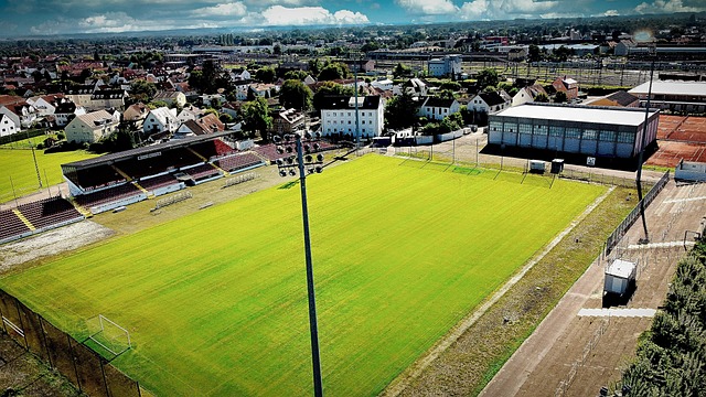 的外援阵容 的外援阵容