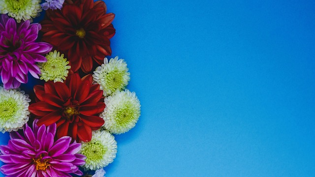 此次比赛中 此次比赛中