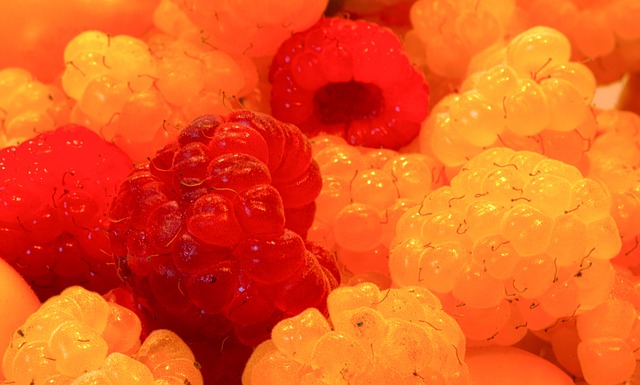 的决策同样 的决策同样