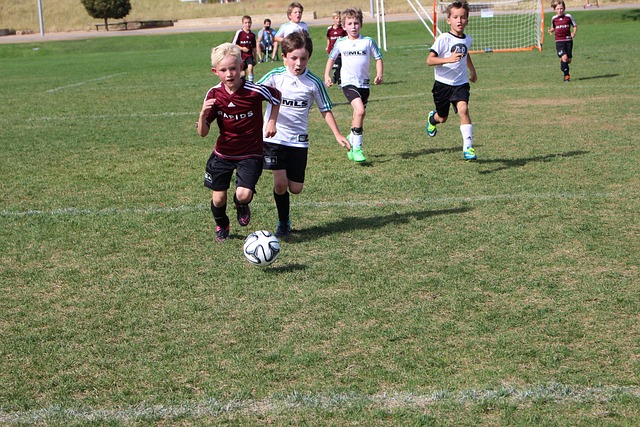 智能算法对 智能算法对