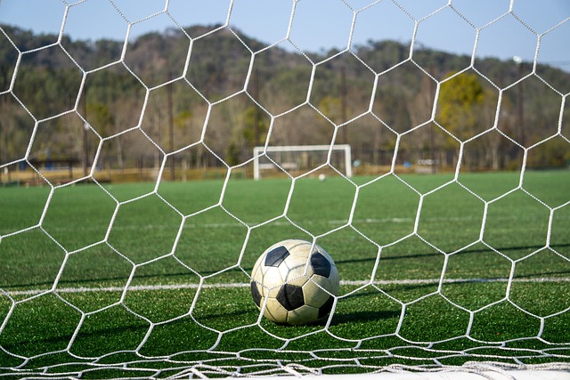 为他的表现 为他的表现